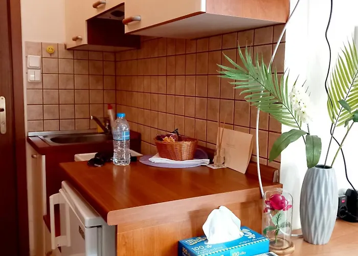 Studio Near University Of Thessaly Larissa